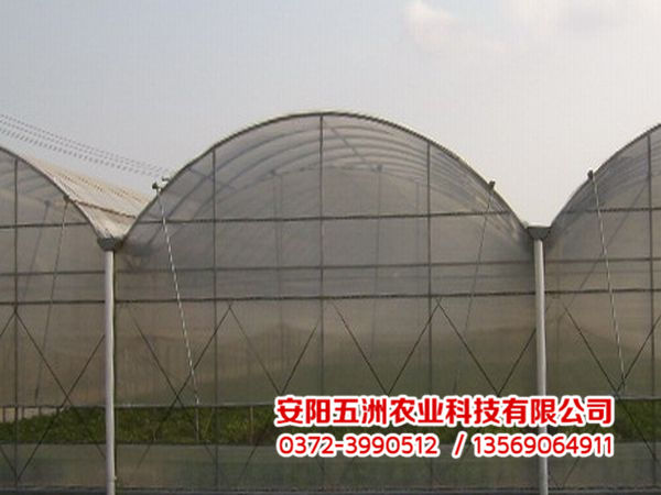 連棟大棚 連棟大棚