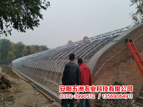 溫室大棚 溫室大棚